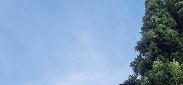 مهندس کرمی - 1